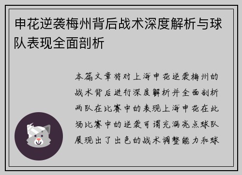 申花逆袭梅州背后战术深度解析与球队表现全面剖析