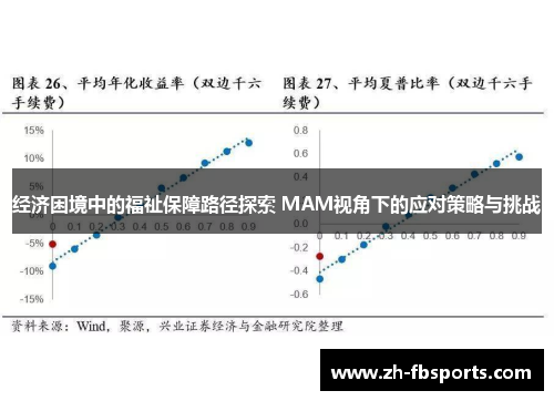 经济困境中的福祉保障路径探索 MAM视角下的应对策略与挑战