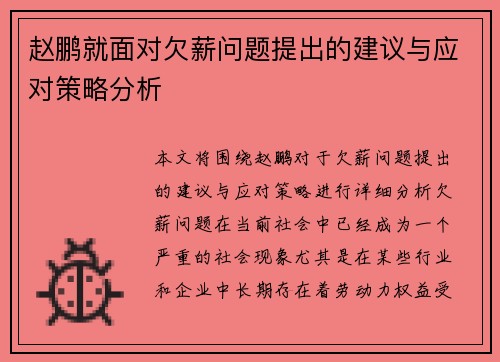 赵鹏就面对欠薪问题提出的建议与应对策略分析